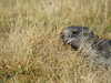 20220908135958-DSCN3711.JPG