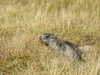 20220908140007-DSCN3713.JPG