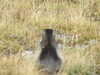 20220908140024-DSCN3714.JPG