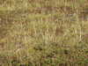 20220908140139-DSCN3721.JPG