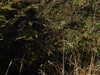 20220908140141-DSCN3722.JPG