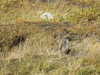 20220908140246-DSCN3723.JPG