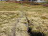 20220908140707-DSCN3737.JPG