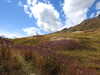 20220908141107-DSCN3741.JPG