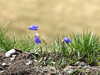 20220908141840-DSCN3748.JPG