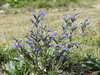 20220908141856-DSCN3749.JPG