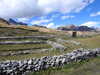 20220908141922-DSCN3750.JPG