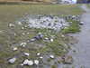 20220908142414-DSCN3756.JPG