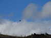 20220908142544-DSCN3758.JPG