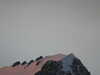20220908195810-DSCN3791.JPG