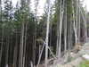 20220910083400-DSCN3824.JPG