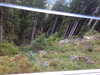 20220910083555-DSCN3830.JPG