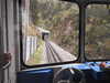 20220910083853-DSCN3839.JPG