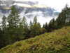 20220910084452-DSCN3863.JPG