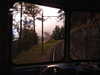 20220910084550-DSCN3867.JPG