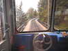 20220910084728-DSCN3869.JPG