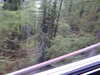 20220910084812-DSCN3871.JPG