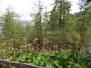 20220910093901-DSCN3898.JPG