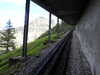 20220910124200-DSCN4116.JPG