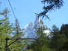 20220910124236-DSCN4119.JPG