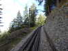 20220910124340-DSCN4121.JPG