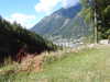 20220910125051-DSCN4139.JPG