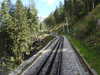20220910125402-DSCN4149.JPG