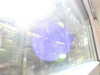 20220910133017-DSCN4173.JPG