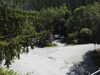 20220910133130-DSCN4178.JPG