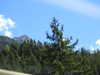 20220910133803-DSCN4192.JPG
