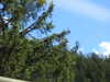 20220910133804-DSCN4193.JPG
