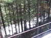 20220910133813-DSCN4194.JPG