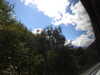 20220910134259-DSCN4200.JPG