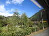 20220910134452-DSCN4202.JPG
