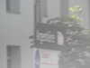 20220910134510-DSCN4203.JPG