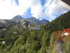 20220910135034-DSCN4211.JPG