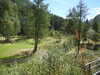 20220910135817-DSCN4225.JPG