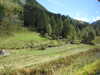 20220910135832-DSCN4226.JPG