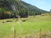 20220910140015-DSCN4230.JPG