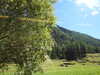 20220910140020-DSCN4231.JPG