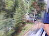 20220910141144-DSCN4243.JPG