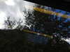 20220910141451-DSCN4246.JPG