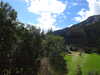 20220910142403-DSCN4256.JPG