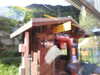20220910143131-DSCN4262.JPG