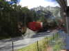 20220910144100-DSCN4269.JPG