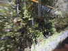 20220910144221-DSCN4270.JPG