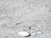 20220911144144-DSCN4333.JPG