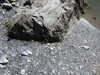 20220911144330-DSCN4336.JPG
