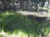20220911145157-DSCN4347.JPG