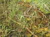 20220911145203-DSCN4348.JPG